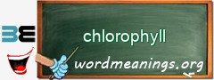 WordMeaning blackboard for chlorophyll
